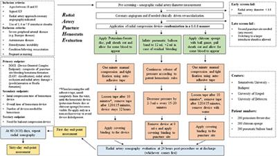 The Design and Feasibility of the: Radial Artery Puncture Hemostasis Evaluation – RAPHE Study, a Prospective, Randomized, Multicenter Clinical Trial